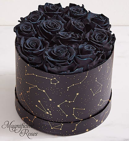 Night Sky by Magnificent Roses®